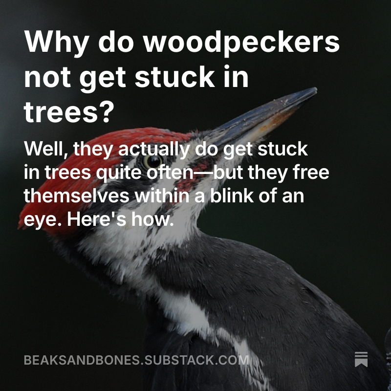 Read the full post here.