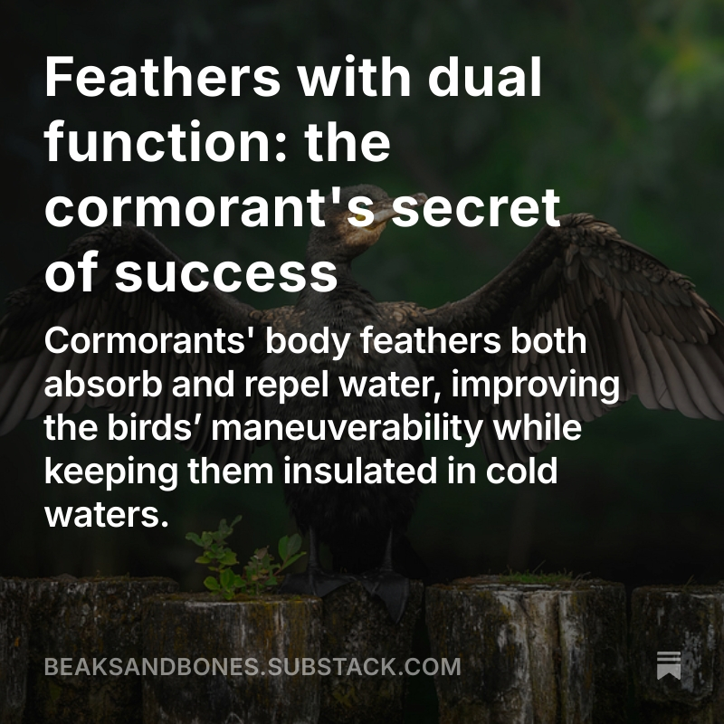 Read the full post here.