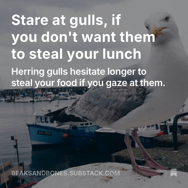 Read the full post here.