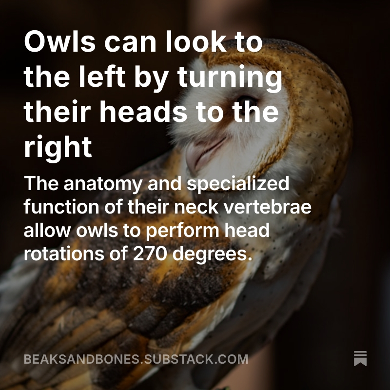 Read the full post here.