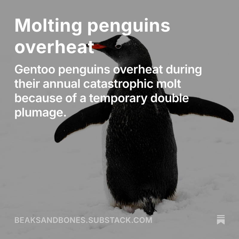 Read the full post here.