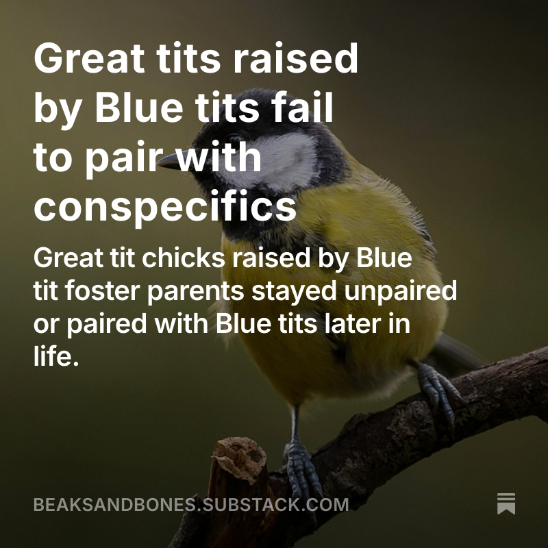 Read the full post here.