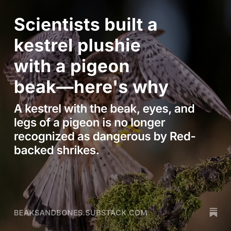 Read the full post here.