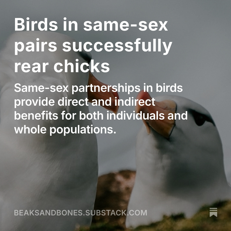 Read the full post here.