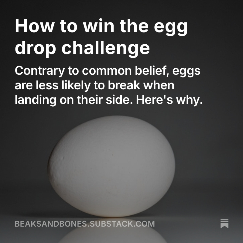 Read the full post here.