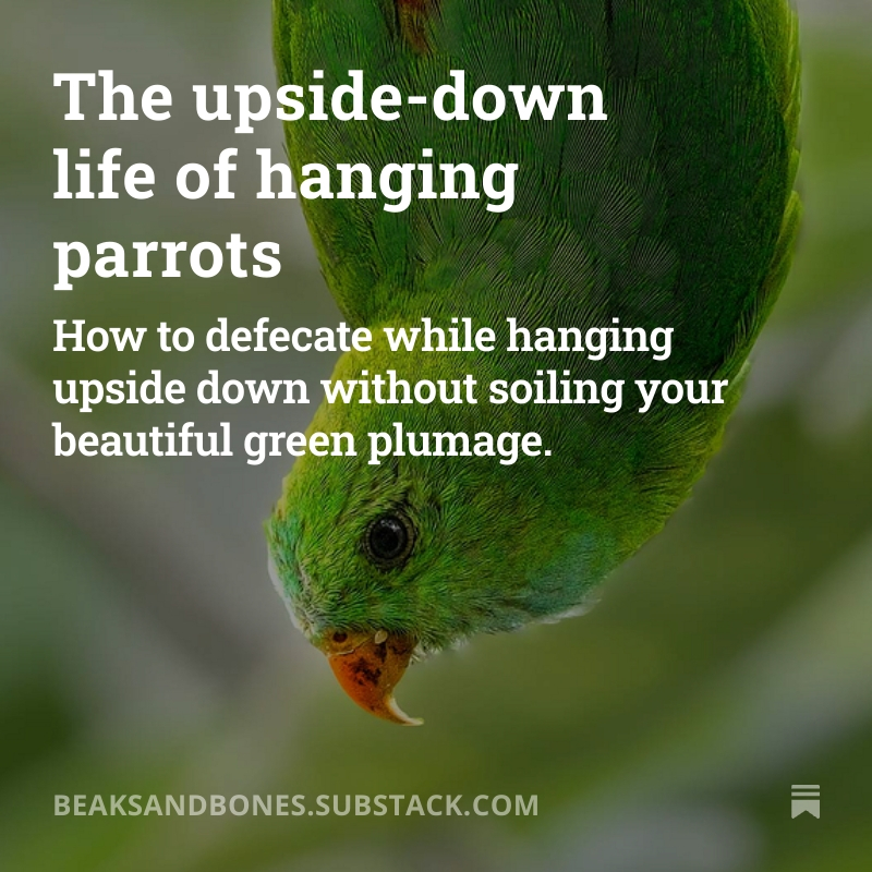 Read the full post here.
