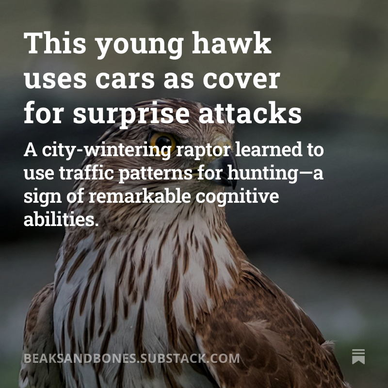 Read the full post here.