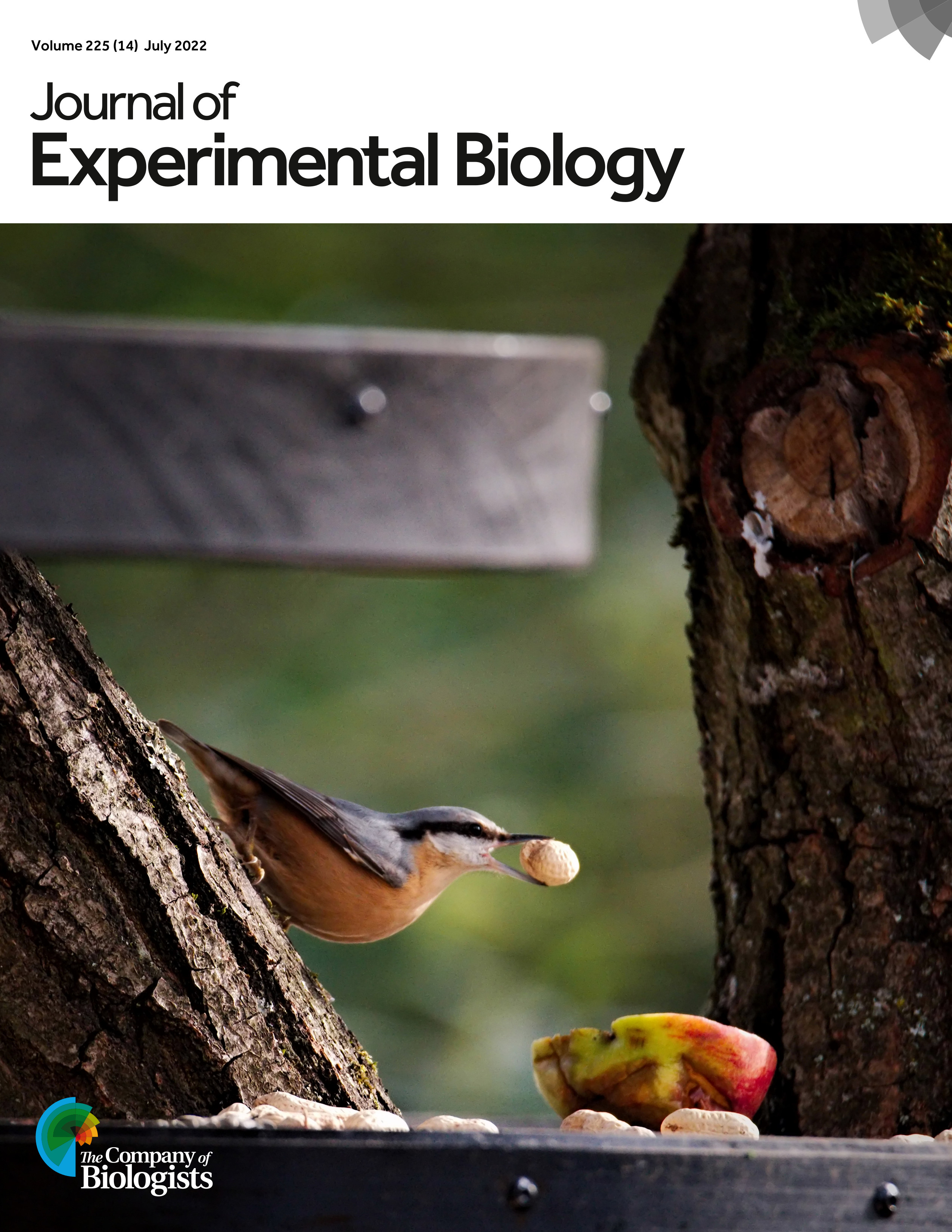 Title page of the Journal of Experimental Biology Volume 225, Issue 14.