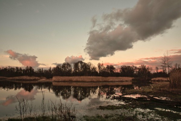 Evening sky