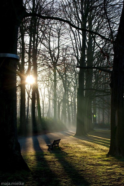 Morning light
